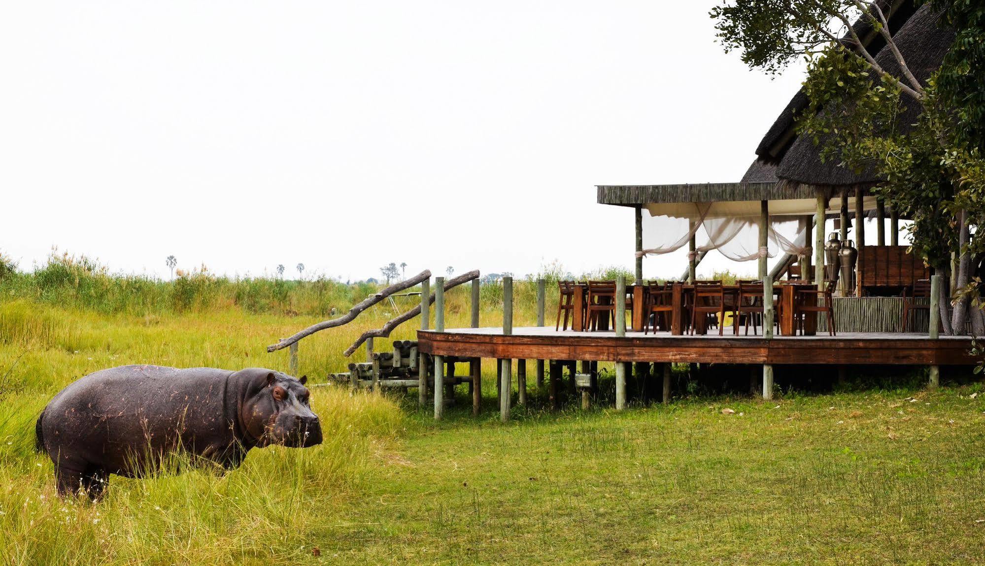 Hotel Selinda Camp Selinda Reserve Exteriér fotografie
